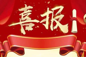 关于2022年度人力资源服务评选结果的通报，祝贺开云足球,开云足球(中国)
集团