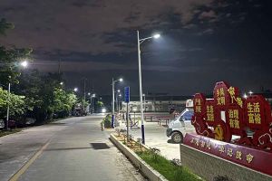 开云足球,开云足球(中国)
集团罗宁弟爱心捐赠路灯，点亮乡村路温暖乡民心